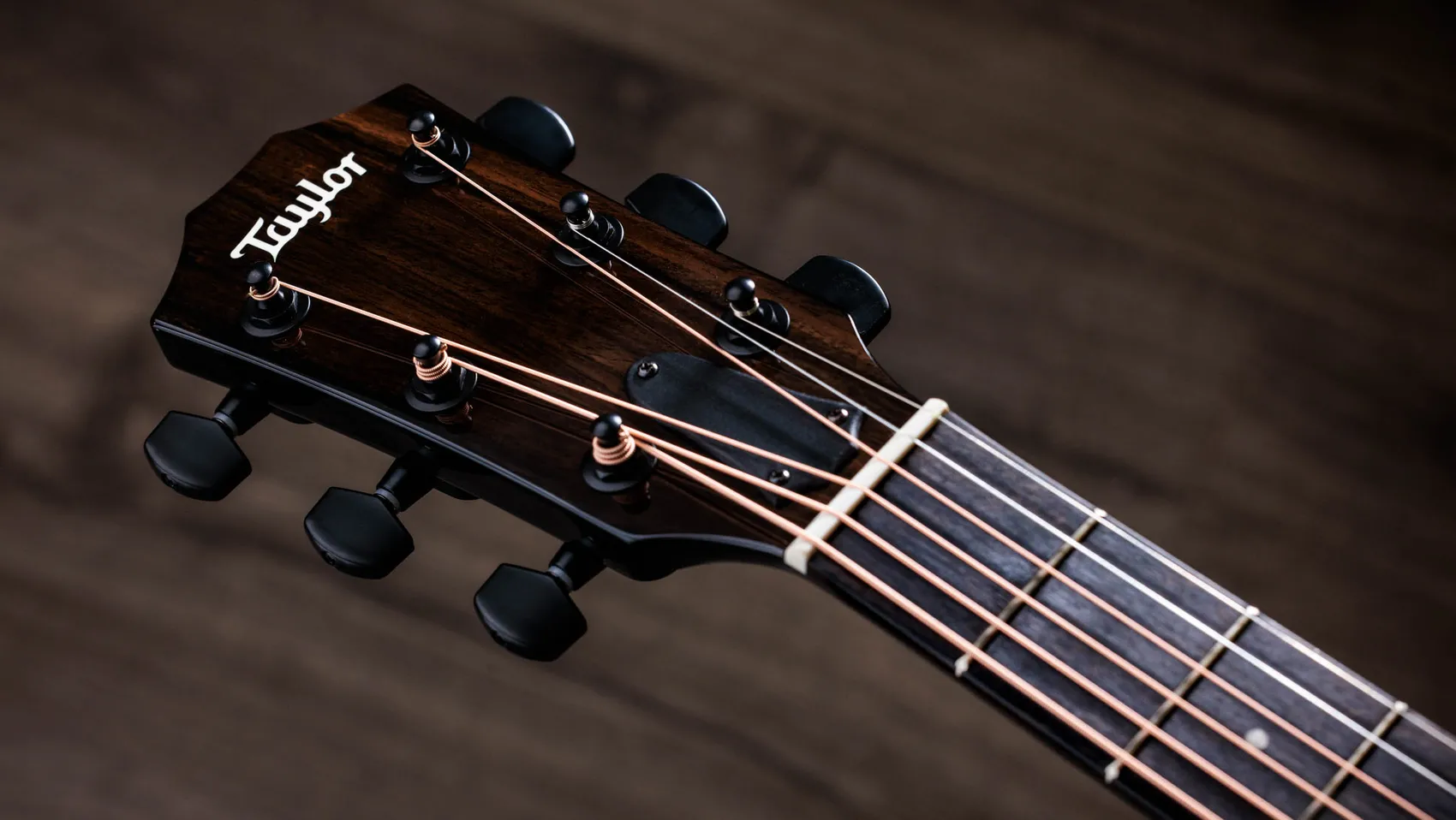 214ce-BLK Plus Big Leaf Maple Acoustic-Electric Guitar | Taylor